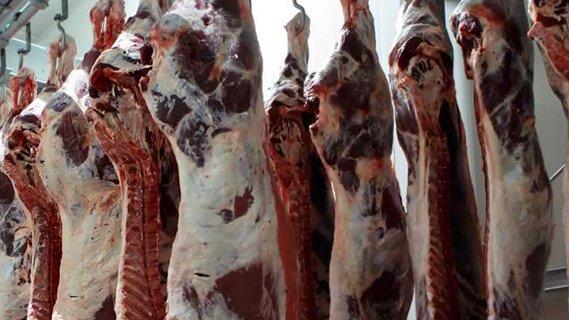 Marcando el nivel más bajo en 20 meses, China desaceleró la importación de carne en octubre