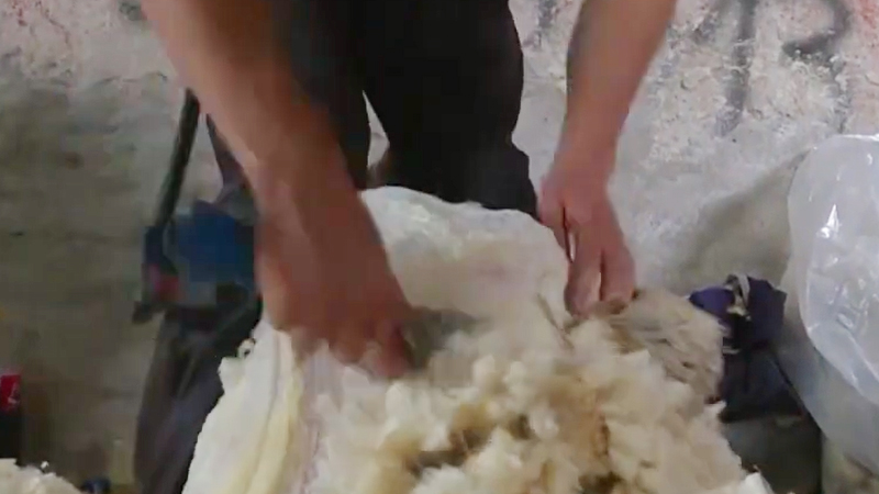 Mercado lanero continúa con altibajos internacionales