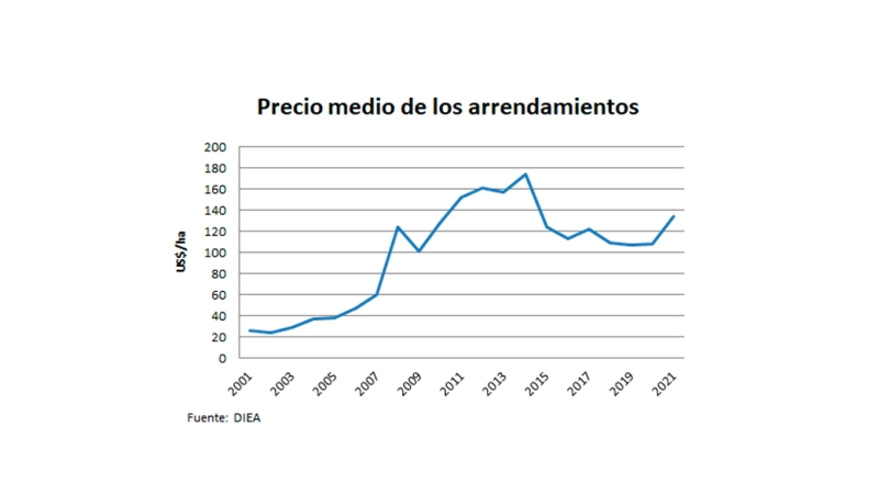 En 2021 se arrendaron 909 mil hectáreas en Uruguay