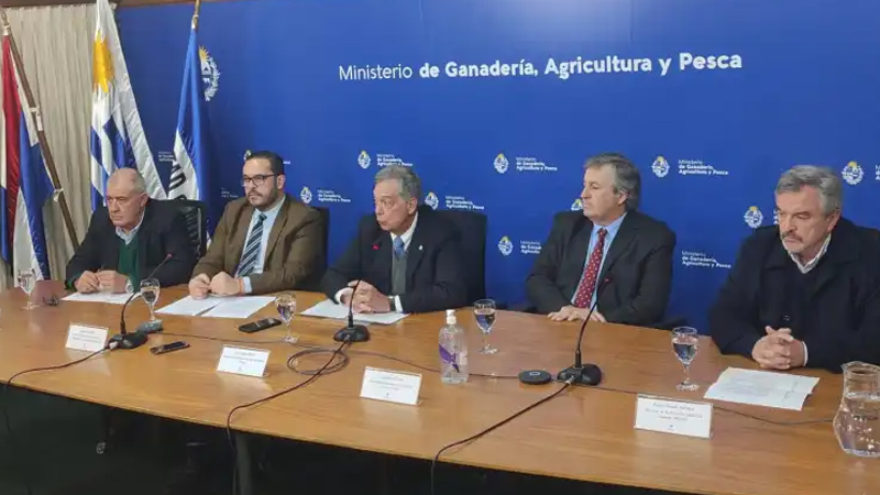 Habilitaron ingreso de carne con hueso