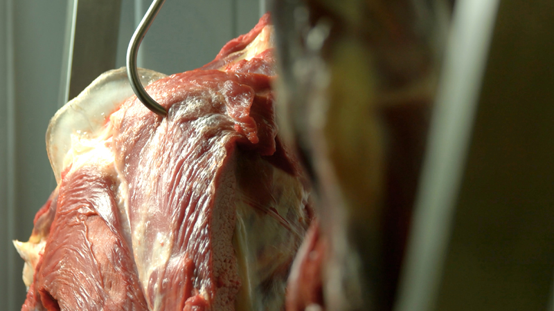 Estudios científicos demuestran que la carne cultivada tiene una huella de carbono mayor que la de origen animal