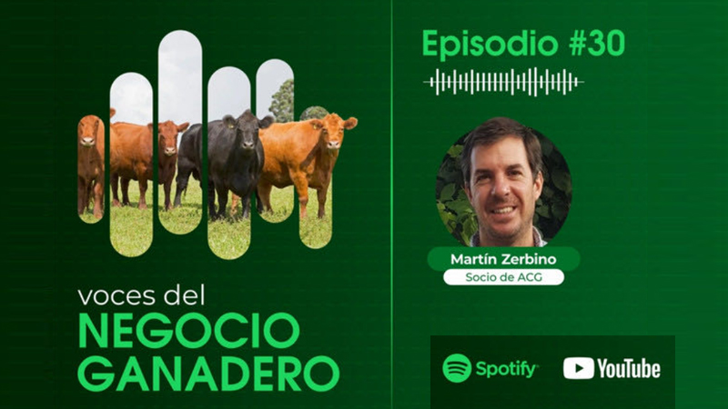 Voces del Negocio Ganadero: Episodio #30 de ACG Podcast con la participación de Martín Zerbino