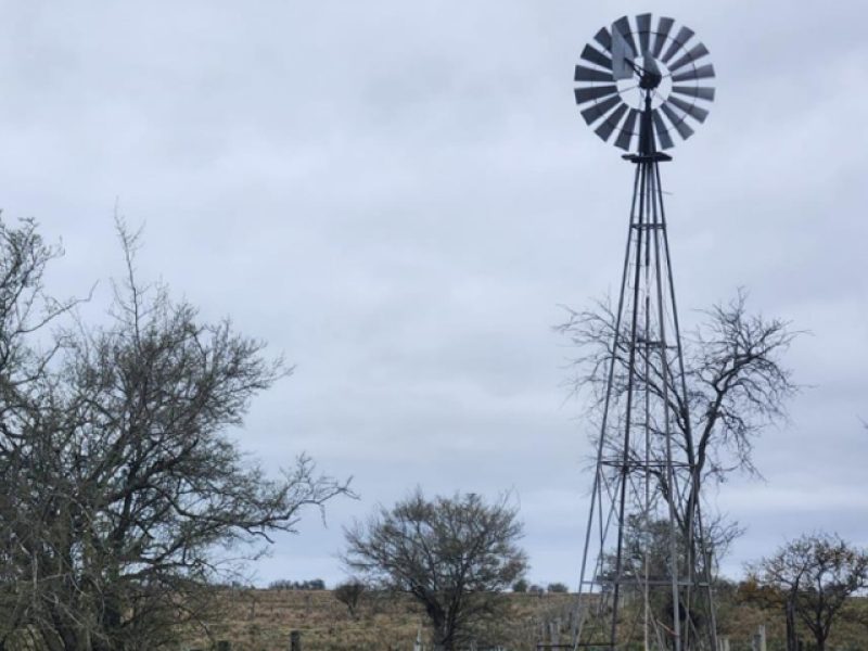 Campo agrícola en Paysandú, 169has, muy buenos suelos