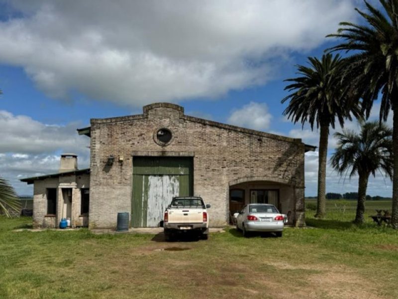 Campo agrícola/ganadero en Rocha