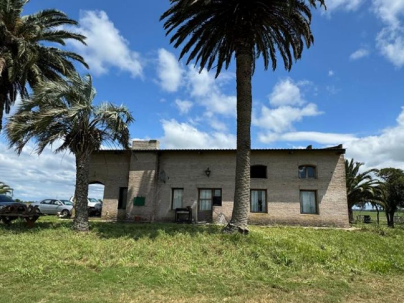 Campo agrícola/ganadero en Rocha