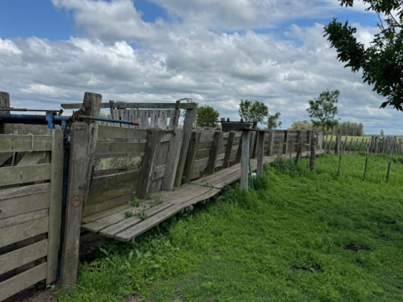 Campo agrícola/ganadero en Rocha