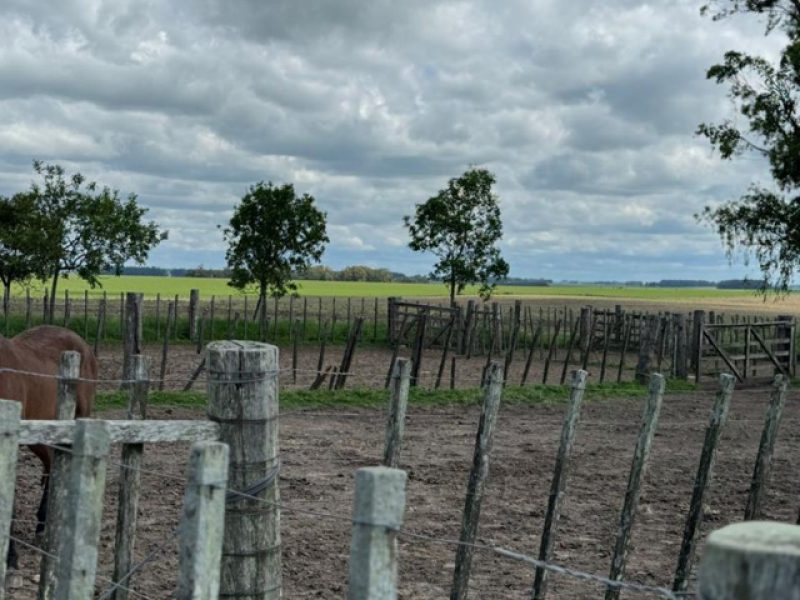 Campo agrícola/ganadero en Rocha