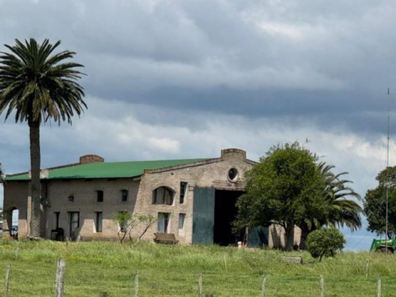 Campo agrícola/ganadero en Rocha