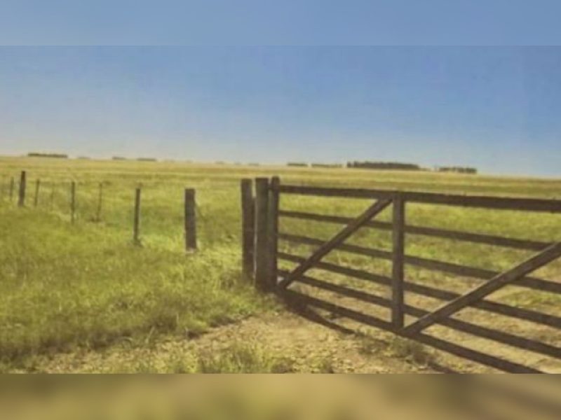 Campo en Salto: 595has.