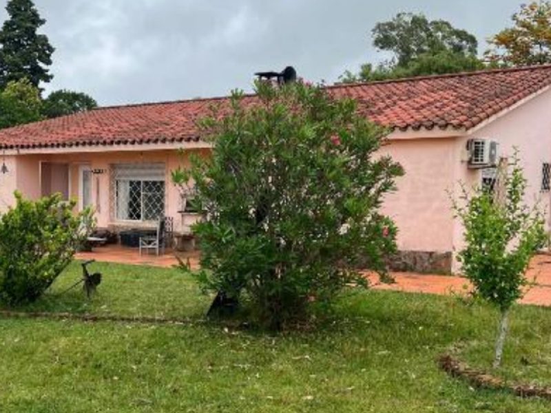 Campo en Sarandí del Yí: 616has.