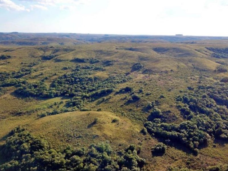 Campo en Tacuarembó, 3383has.