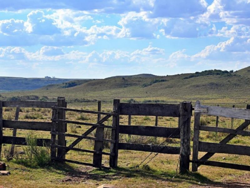 Campo en Tacuarembó, 3383has.