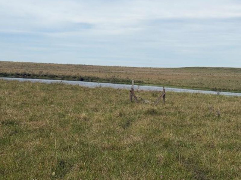 Campo en Tacuarembó: 415has.