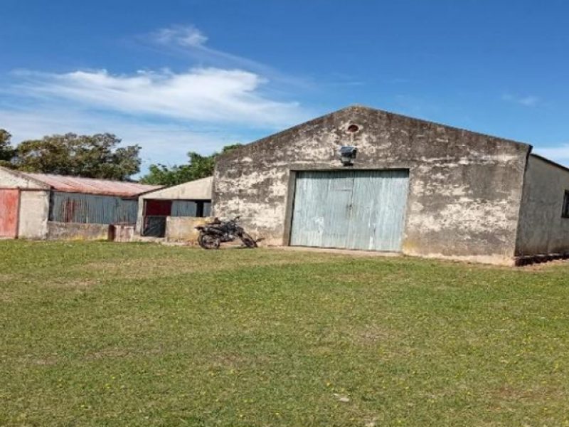 Campo en Tacuarembó: 415has.
