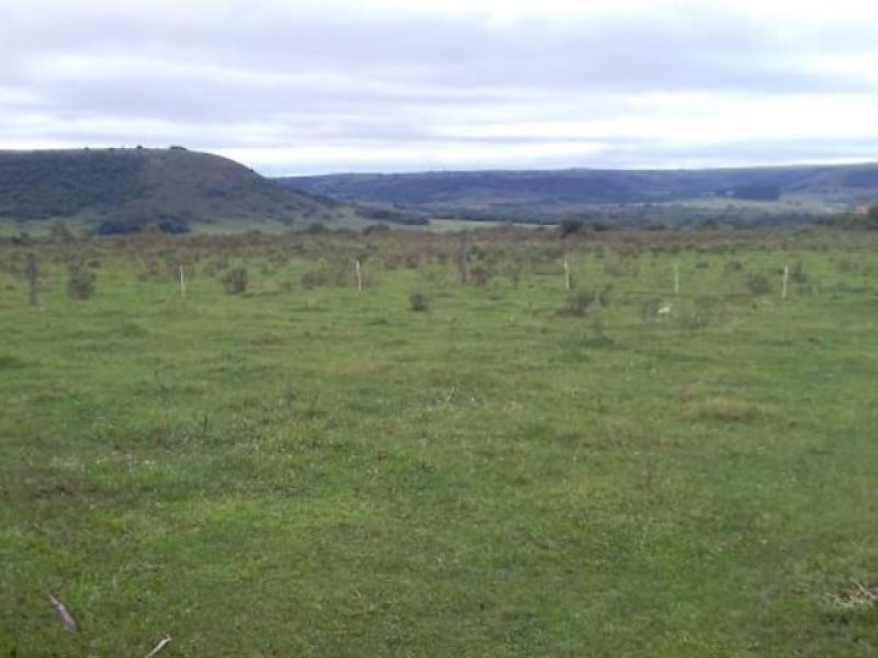 Campo en Tacuarembó,1100 has.