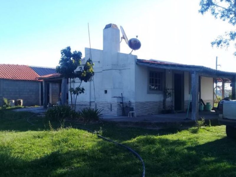 Campo en Tacuarembó,1100 has.